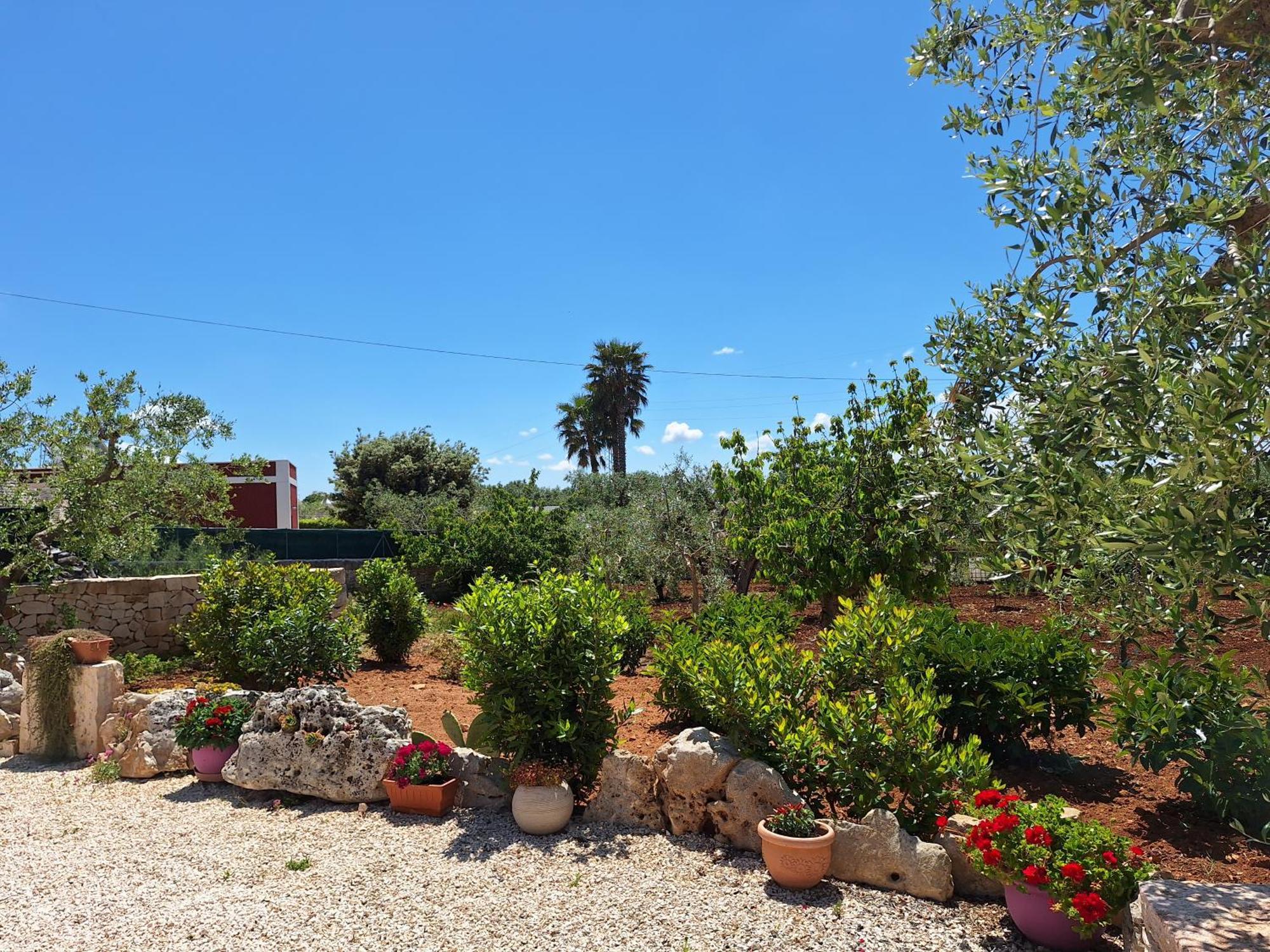 Baciati Dal Sole Apartment Martina Franca Exterior photo